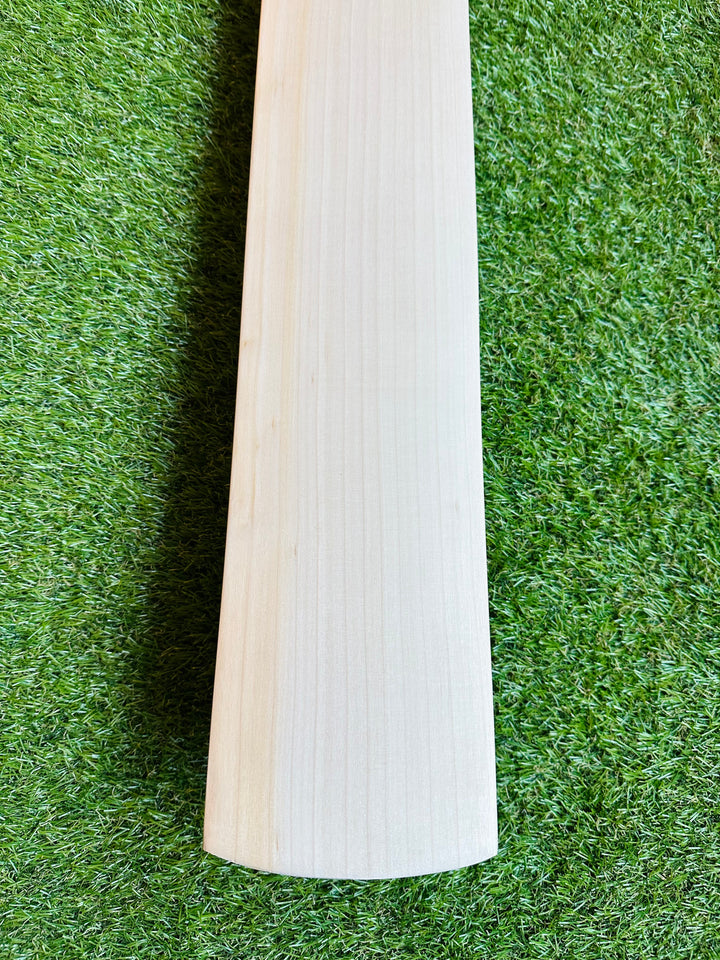 Plain Grade 1+ English Willow Cricket Bat | Full Spine Profile