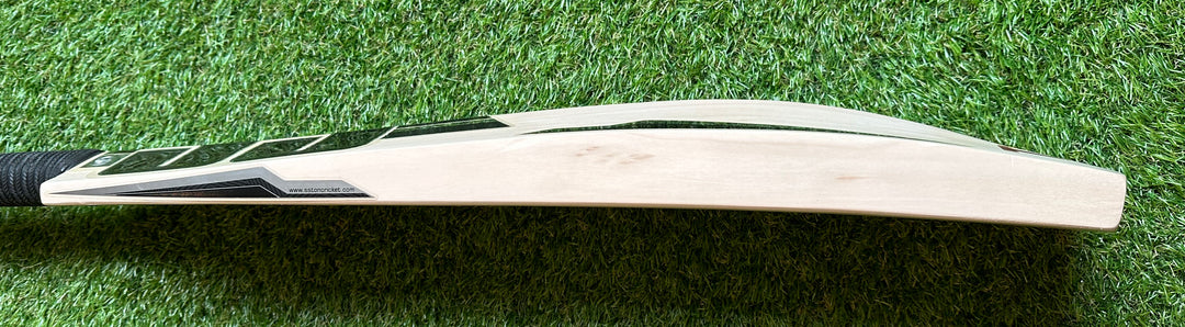 SS TON Limited Edition Cricket Bat | Size 5