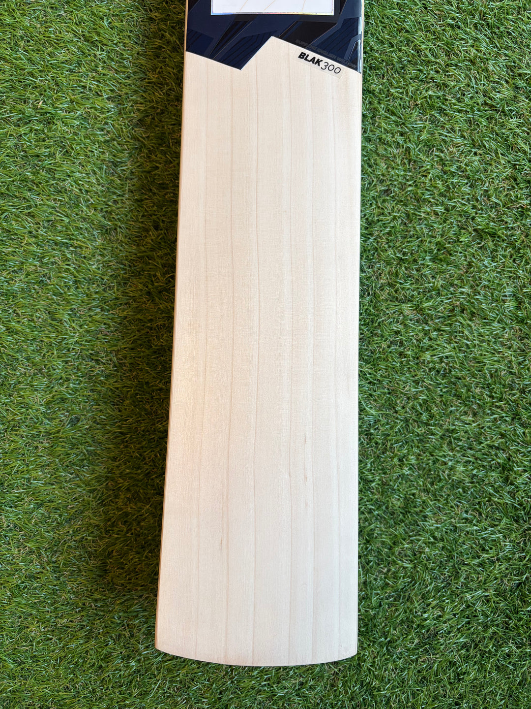 DSC Blak 300 Cricket Bat
