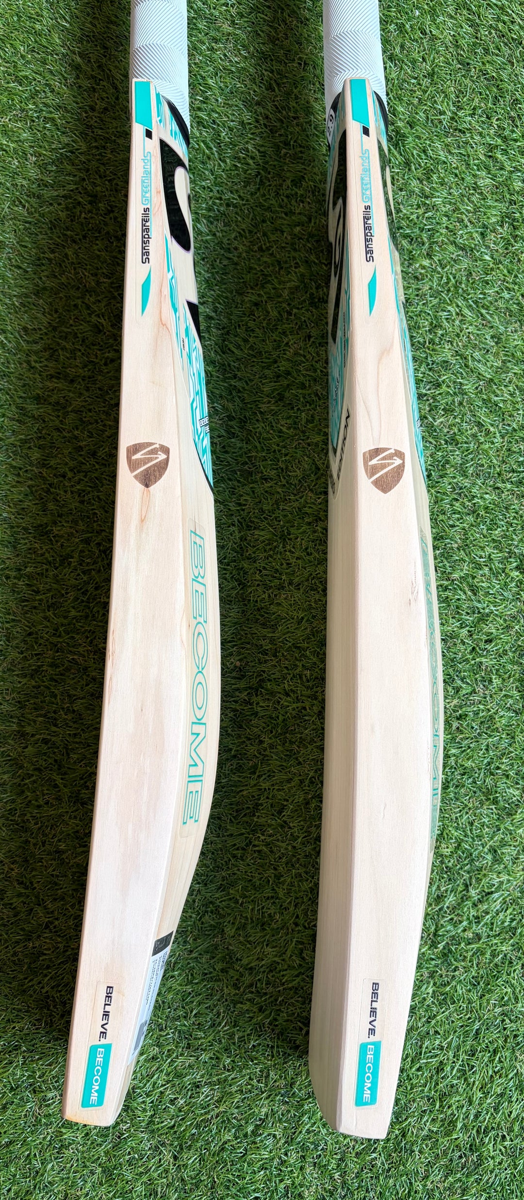 SG Players Edition Cricket Bat | New Model