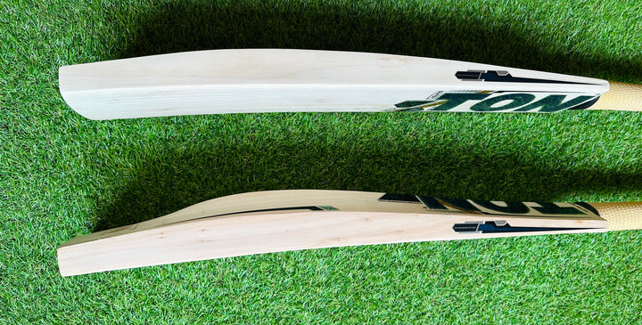 TON Gutsy Edition Cricket Bat | Harrow Size