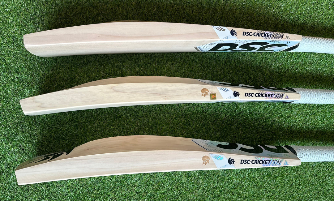 DSC Condor Glider Cricket Bat – DKP Cricket