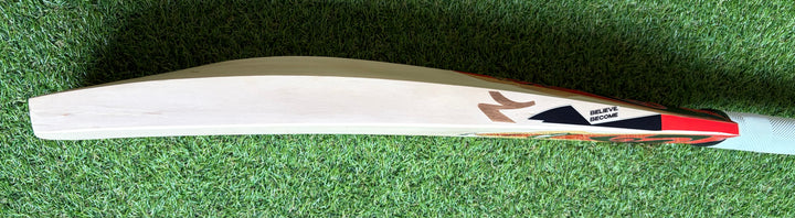 SG RP Limited Edition Cricket Bat | New Model