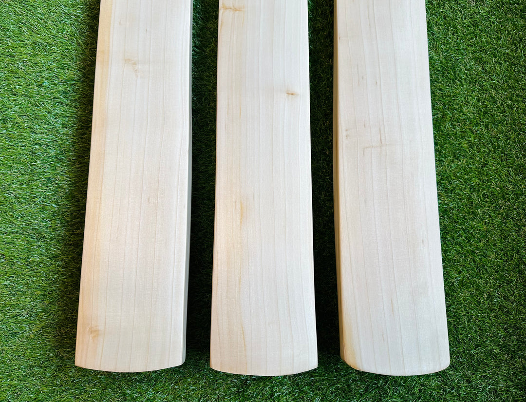 Plain Grade 2 English Willow Cricket Bat |  3lb Monster | Full Profile