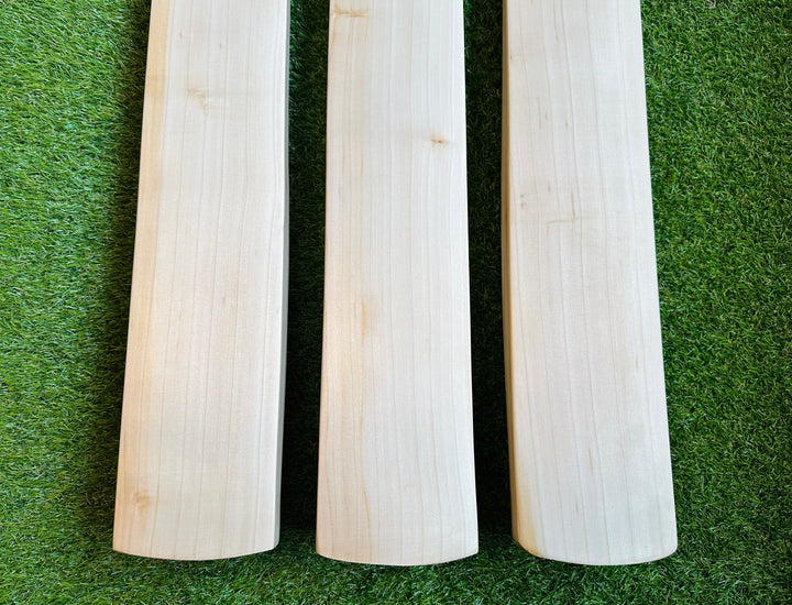 Plain Grade 2 English Willow Cricket Bat |  3lb Monster | Full Profile