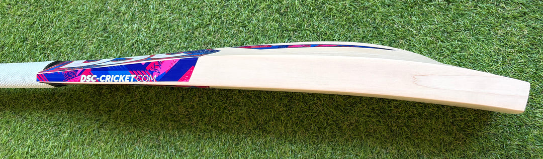 DSC Intense Shoc Cricket Bat