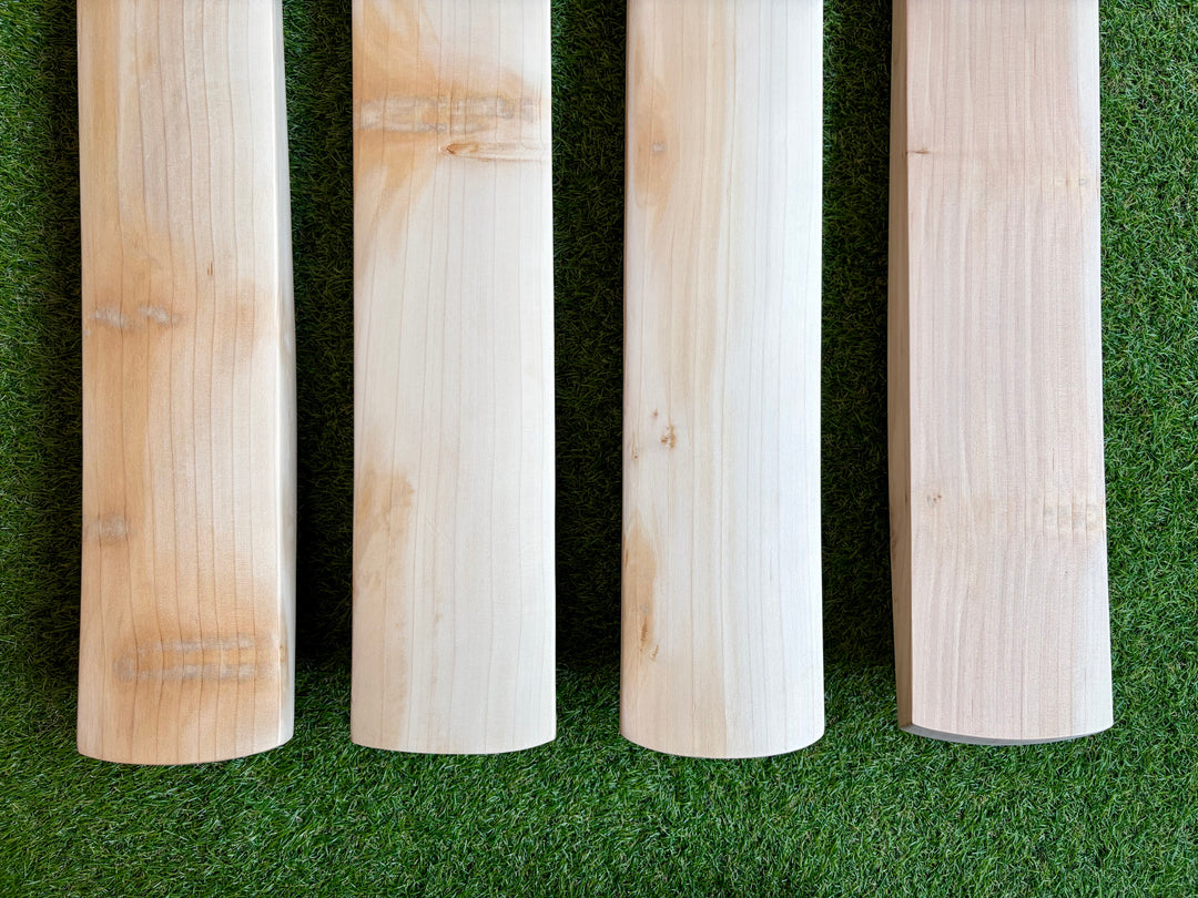 Plain Butterfly English Willow Cricket Bat
