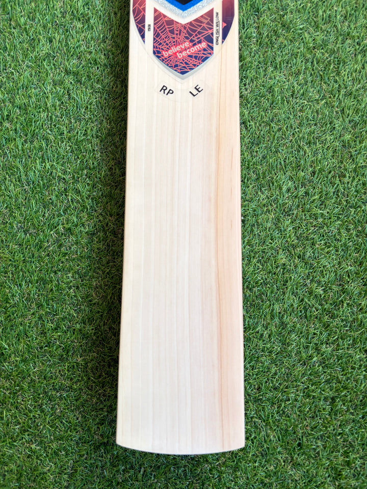 SG RP LE Cricket Bat | Size 6