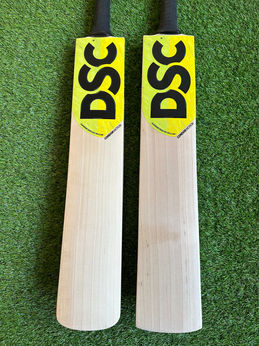 DSC Condor Motion Cricket Bat