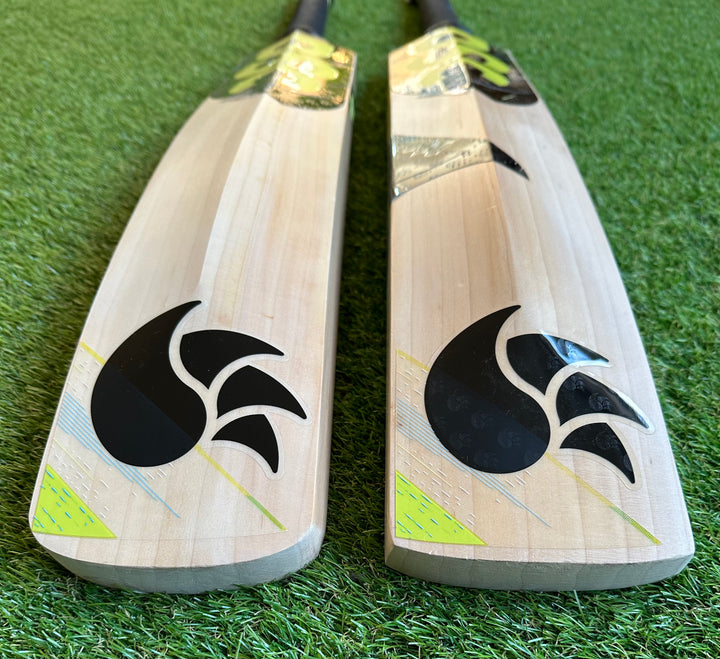 DSC Condor Motion Cricket Bat