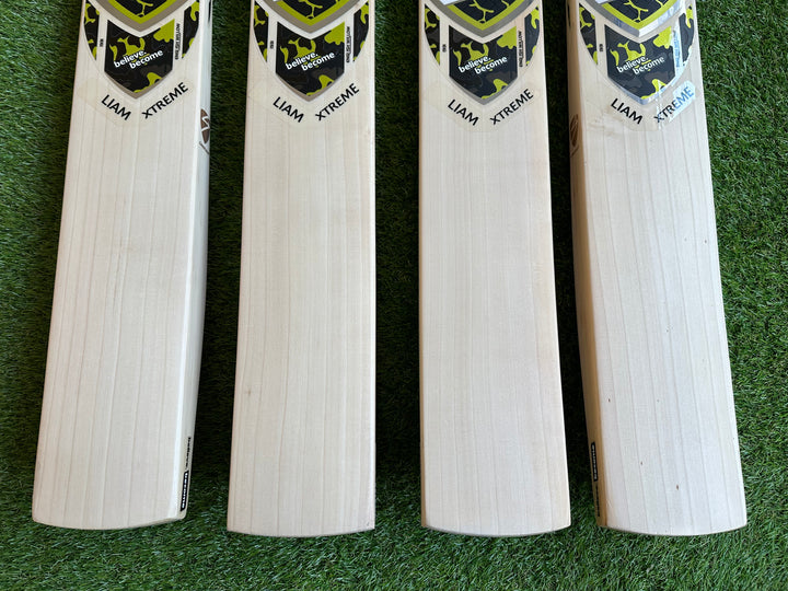 SG Liam Xtreme Cricket Bat | Player Profile