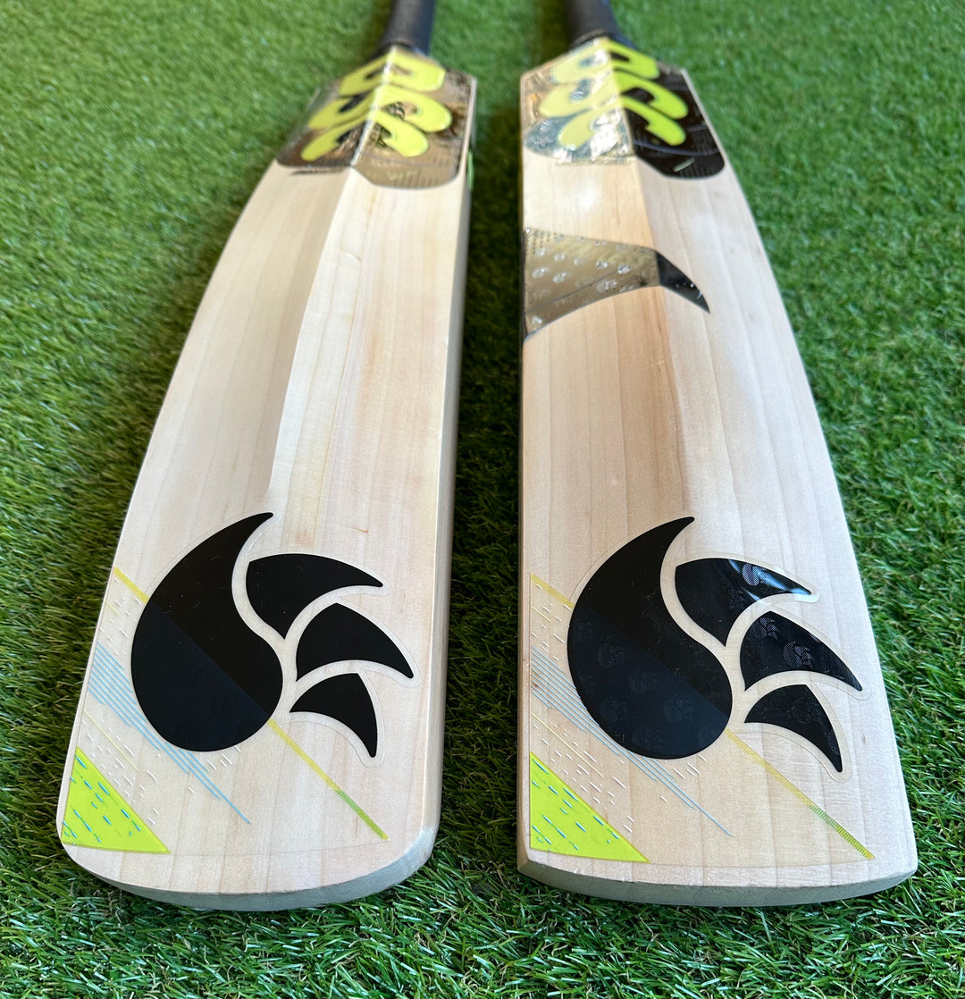 DSC Condor Motion Cricket Bat