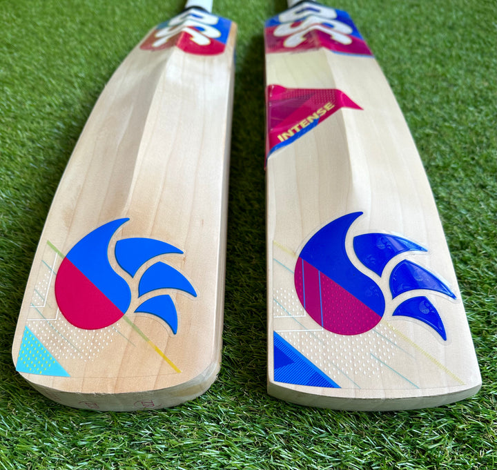 DSC Intense Shoc Cricket Bat | 41mm Edges