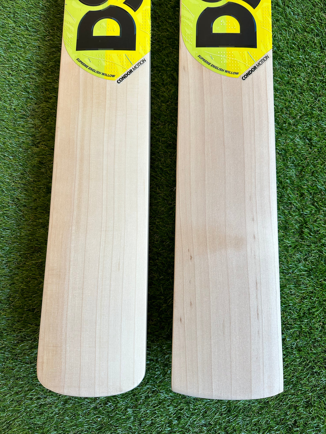 DSC Condor Motion Cricket Bat