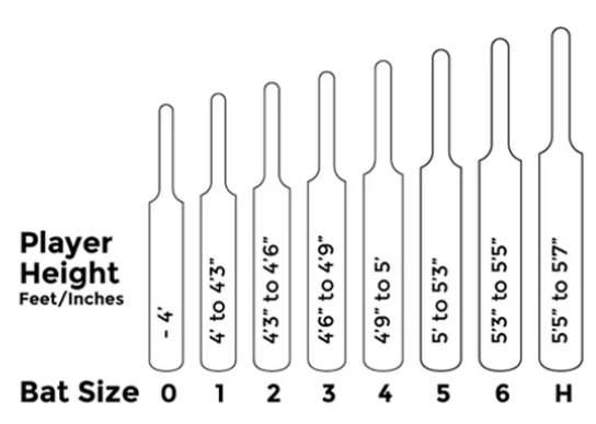 DKP Pro Junior Cricket Bat | All Models Available