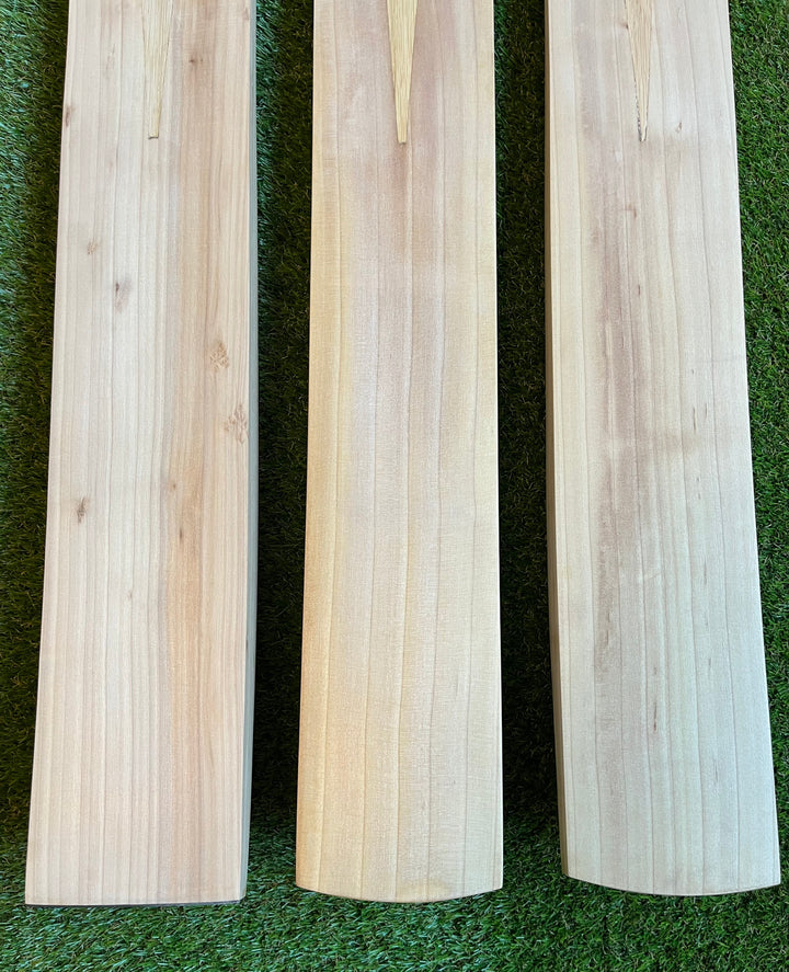 Plain Grade 2 English Willow Cricket Bats | Made in England | 40mm Edges